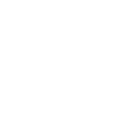 Logo SAFETE